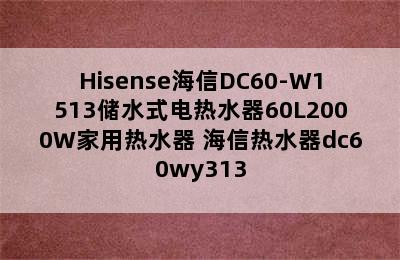 Hisense海信DC60-W1513储水式电热水器60L2000W家用热水器 海信热水器dc60wy313